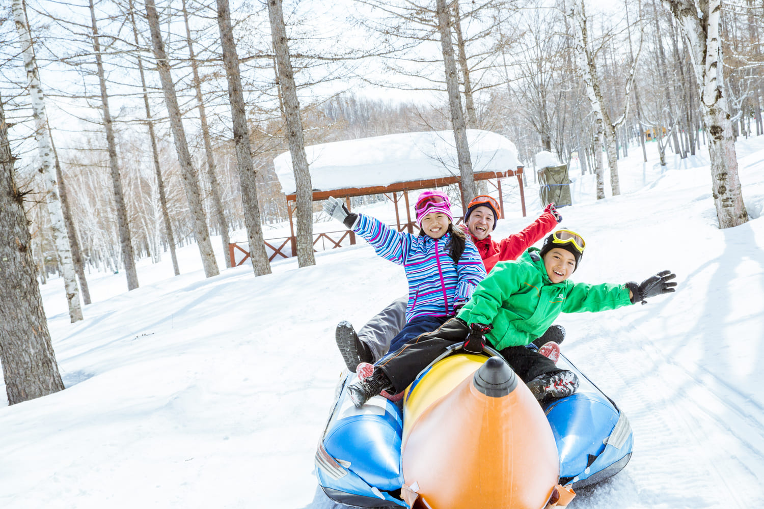 Powder snow skiing in Furano, Hokkaido