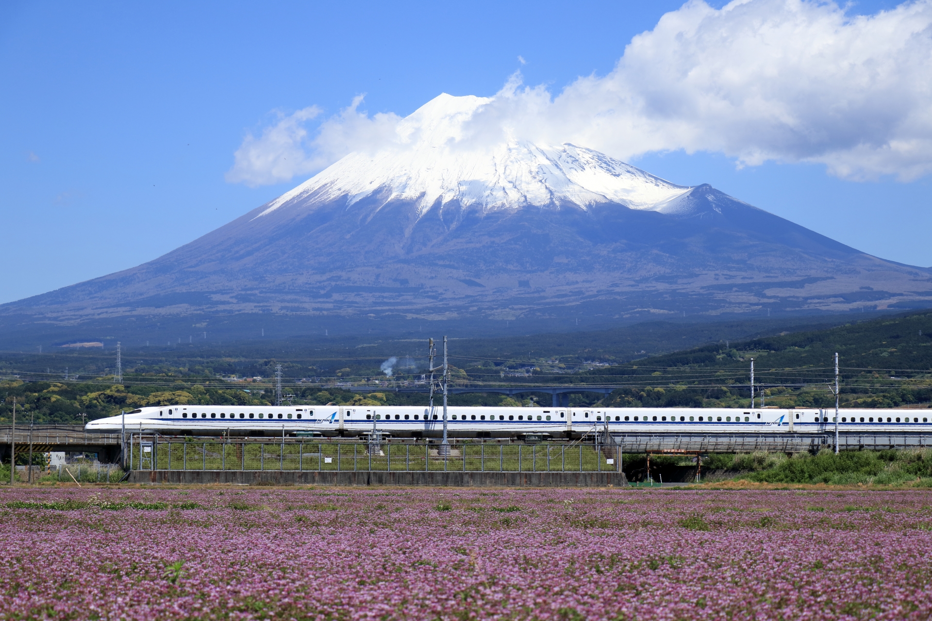 Shinkansen (bullet train)