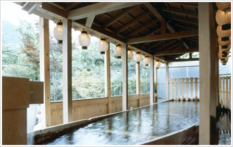 ryokan park hotels bath